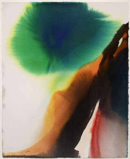 Paul Jenkins — Phenomena green canopy